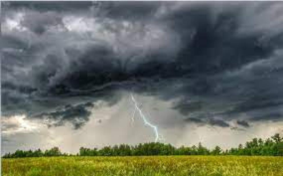 В Новосибирской области на ближайшую неделю синоптики прогнозируют грозы, сильные дожди и порывы ветра
