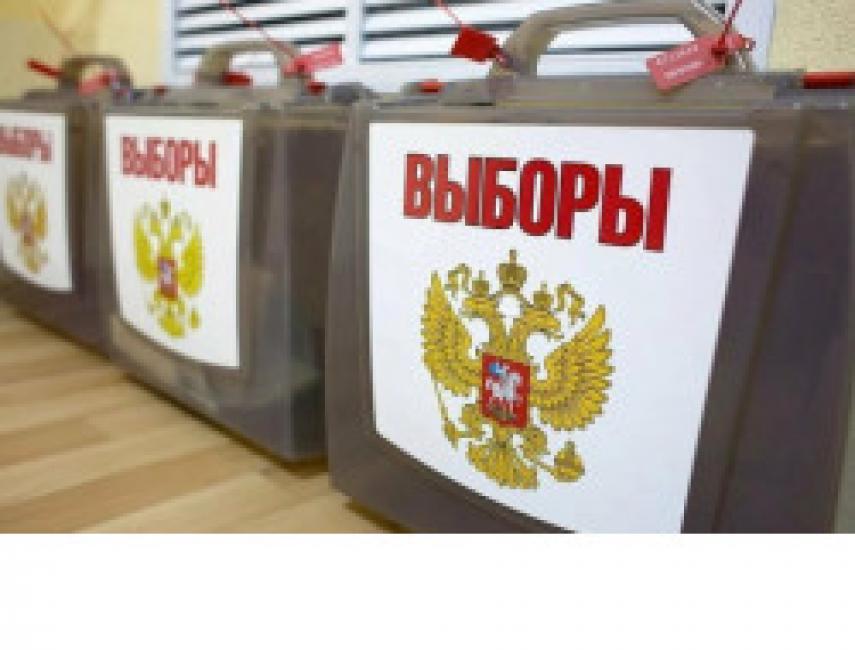 Высокая конкуренция на выборах в Государственную думу ожидается в Новосибирской области