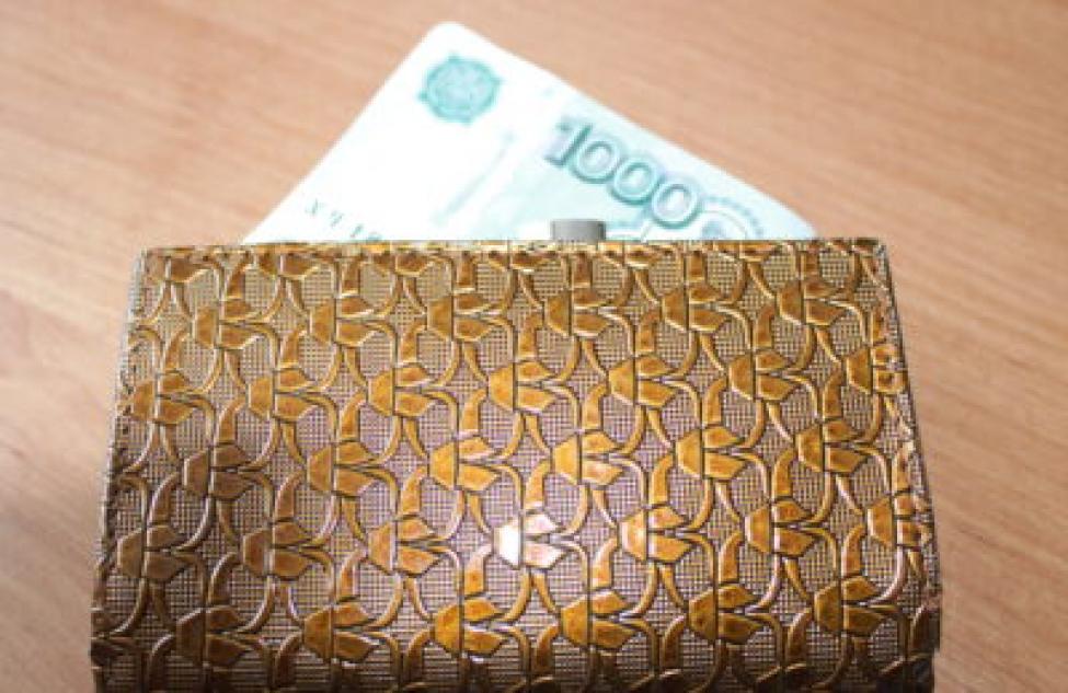 На пять тысяч рублей обманула Центр занятости населения жительница Чистоозерного района – за это она ответит в суде