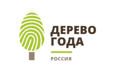 Голосуйте за сосну из Новосибирской области в конкурсе «Российское дерево года»