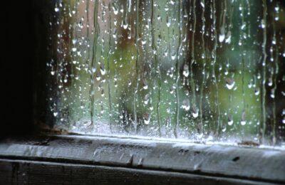 Грозы и дожди возможны в предпоследние субботу и воскресенье июля