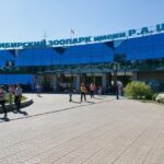 Улучшить транспортную доступность Новосибирского зоопарка поручил губернатор Андрей Травников
