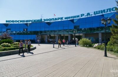 Новосибирский зоопарк отмечает юбилей