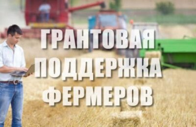Новосибирские фермеры могут получить гранты на развитие бизнеса