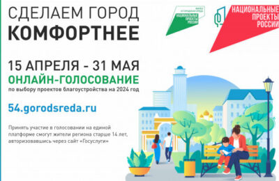 В Новосибирской области 15 апреля стартует  голосование по выбору пространств для благоустройства