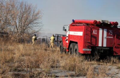 С начала года в Чистоозерном районе произошло более шестидесяти пожаров