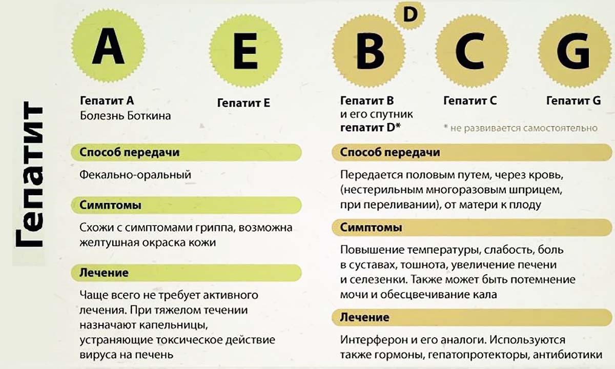 В Новосибирской области на учете состоят больше 16 тысяч человек с  вирусными гепатитами - Кулундинская новь