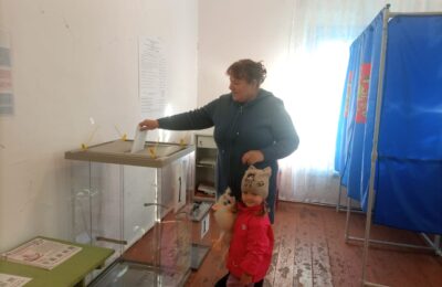 В Чистоозерном районе подводят итоги выборов губернатора Новосибирской области
