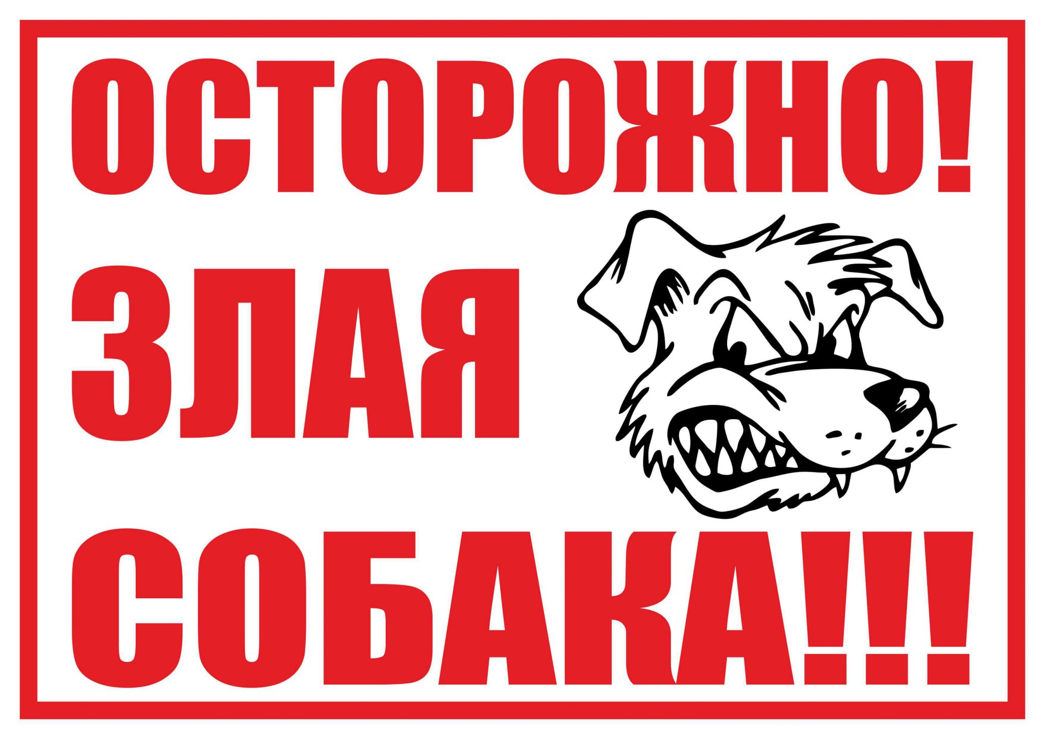 Новосибирские депутаты одобрили штрафы для владельцев кошек и собак -  Кулундинская новь