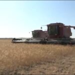 Предварительные итоги уборочной кампании подвели в Новосибирской области