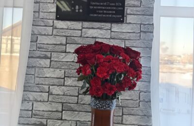 В Чистоозерной школе № 3 открыли мемориальную доску памяти Даниле Лузину