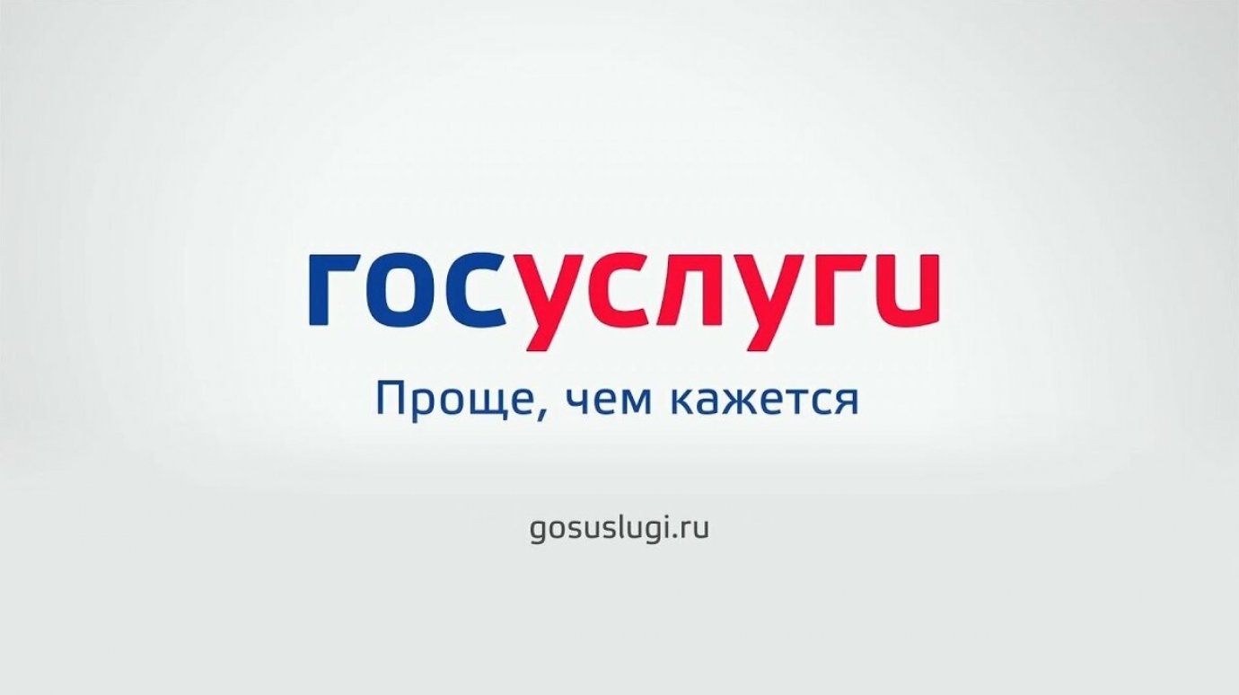 Опросы на Госуслугах решают проблемы на улицах региона - Кулундинская новь