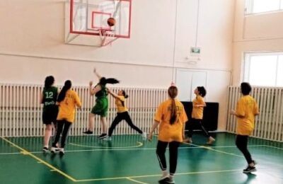 Баскетболисты из Чистоозерного района занимают лидирующие позиции