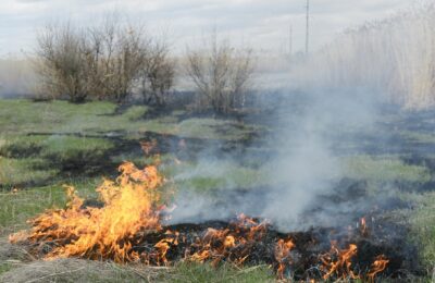 В Новосибирской области тушить ландшафтные пожары обязали чиновников районов