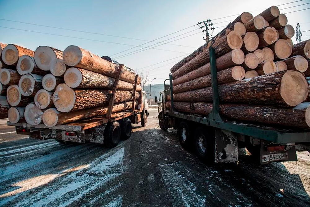 Прокурор Чистоозерного района дал разъяснения по обороту древесины