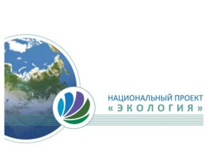 МУ "Рыбинский комплексный центр социального обслуживания населения" Новости