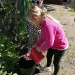 Экологическая акция «От росточка до цветочка» прошла в детском саду «Ивушка»
