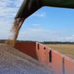 Лидером в Сибири по экспорту продукции АПК стала Новосибирская область