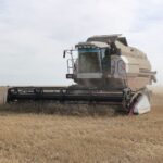 Новосибирская область увеличивает аграрный экспорт на Восток