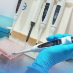 Новосибирские учёные открыли вирус, который уничтожает бактерию пневмонии
