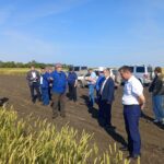 Ежегодная Агрономическая конференция состоялась в Чистоозерном районе