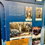 В новосибирском метро запустили вагон-выставку в честь 85-летия со дня рождения Ростислава Шило