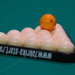 Звезды бильярдного спорта приедут на Кубок мира в Новосибирской области