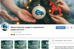 Госпаблики социальной сферы – помощь становится ближе, чем один клик