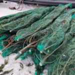 В Беловодский район ЛНР из Новосибирской области доставлены елочки и подарки