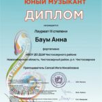 Детская школа искусств Чистоозерного района гордится своими воспитанниками