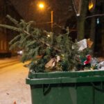 Россиян предупредили: за новогоднюю елку можно получить штраф