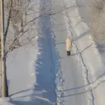 Андрей Травников предупредил о сложном паводке-2026 в Новосибирской области