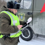 Охрану животного мира усилили в Новосибирской области