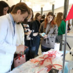 Молодежи в Новосибирской области будет проще найти работу