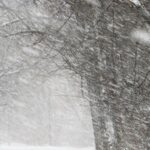 6 января в регионе ожидаются штормовой ветер и обильный снегопад