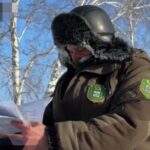 Диких животных стало больше в новосибирских лесах