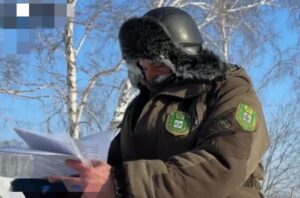 Диких животных стало больше в новосибирских лесах