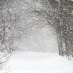 Потепление и снегопады ждут чистоозерцев в первые дни рабочей недели