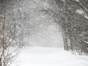 Потепление и снегопады ждут чистоозерцев в первые дни рабочей недели