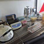 Искусственный интеллект будет следить за растениями в Новосибирской области