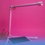 Фитолампу-конструктор создали новосибирские студенты