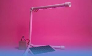 Фитолампу-конструктор создали новосибирские студенты