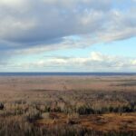 Васюганские болота станут огромной научной лабораторией