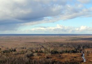 Васюганские болота станут огромной научной лабораторией