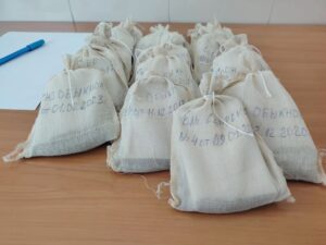 Семенами для лесовосстановления Новосибирская область обеспечена полностью