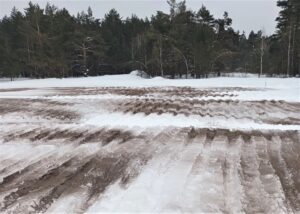 Подготовка к лесокультурному сезону идет в Новосибирской области