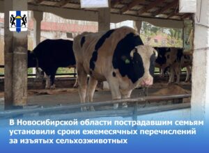 В регионе семьям установили сроки ежемесячных перечислений за сельхозживотных