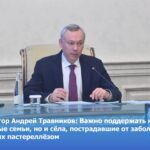 Оказать помощь семьям и селам, пострадавшим от заболевания животных