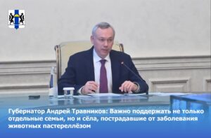 Оказать помощь семьям и селам, пострадавшим от заболевания животных