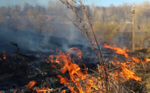 Пожароопасный сезон открыт в Новосибирской области